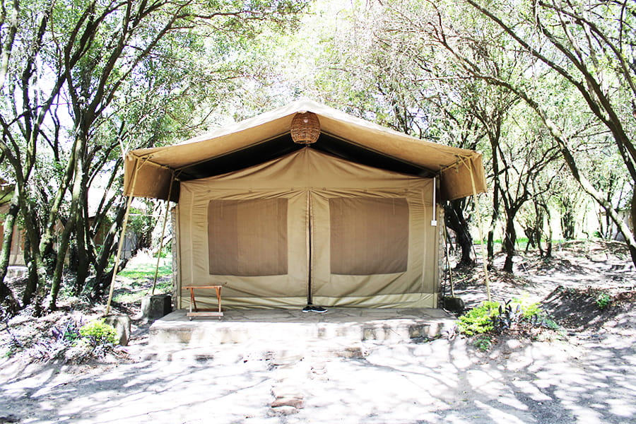 Kenya Safari Holiday